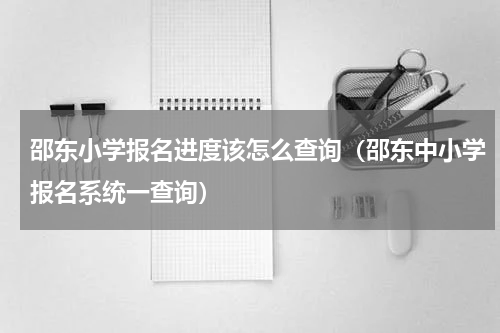 邵东小学报名进度该怎么查询(邵东中小学报名系统一查询)