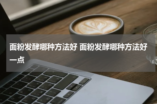 面粉发酵哪种方法好 面粉发酵哪种方法好一点