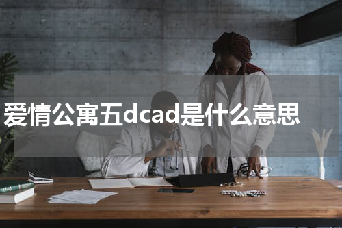 爱情公寓五dcad是什么意思