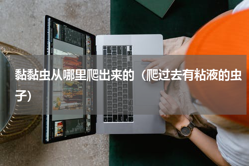 黏黏虫从哪里爬出来的（爬过去有粘液的虫子）