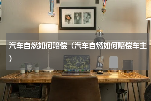 汽车自燃如何赔偿(汽车自燃如何赔偿车主)