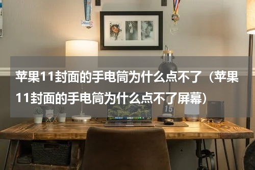 苹果11封面的手电筒为什么点不了(苹果11封面的手电筒为什么点不了屏幕)