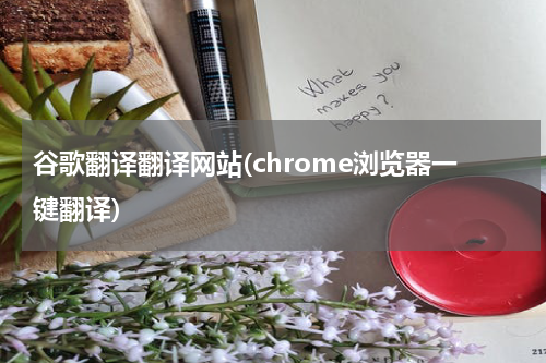 谷歌翻译翻译网站(chrome浏览器一键翻译)