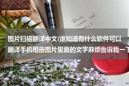 图片扫描翻译中文(谁知道有什么软件可以翻译手机相册图片里面的文字麻烦告诉我一下谢谢!)