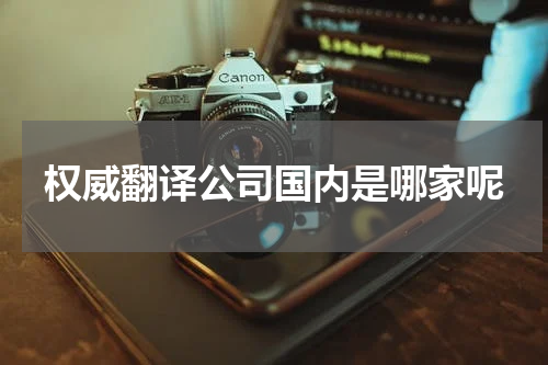 权威翻译公司国内是哪家呢