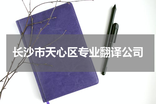 长沙市天心区专业翻译公司