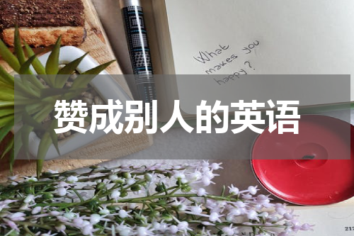 赞成别人的英语