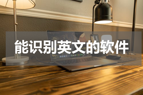 能识别英文的软件