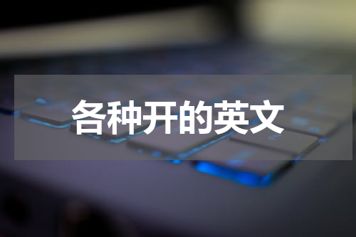 各种开的英文