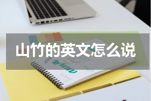 山竹的英文怎么说