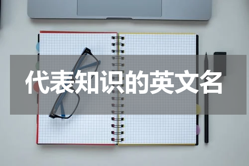 代表知识的英文名