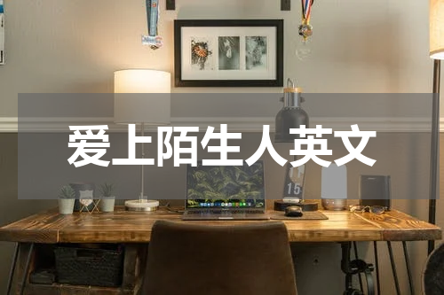 爱上陌生人英文