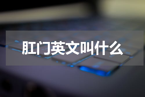 肛门英文叫什么