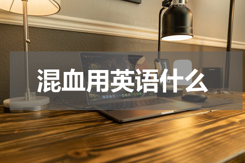 混血用英语什么