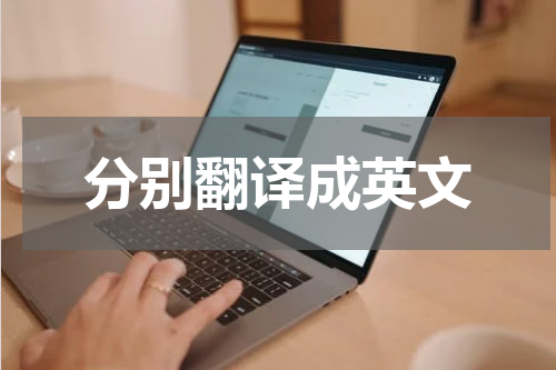 分别翻译成英文