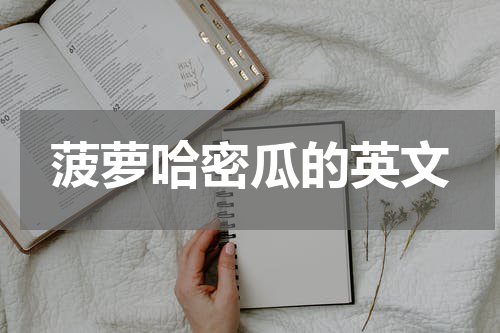 菠萝哈密瓜的英文