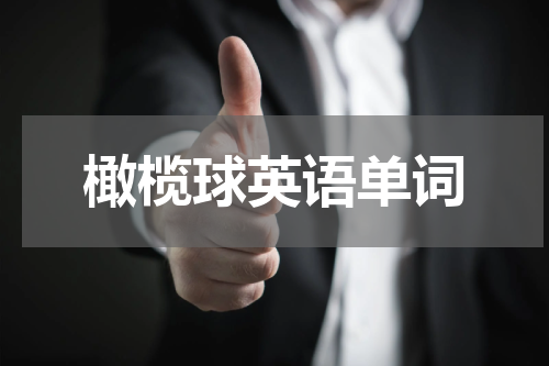 橄榄球英语单词