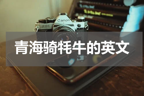 青海骑牦牛的英文