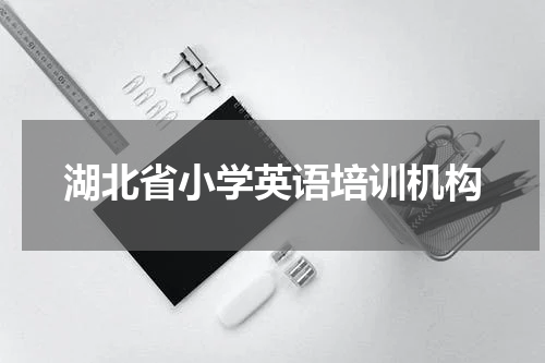 湖北省小学英语培训机构