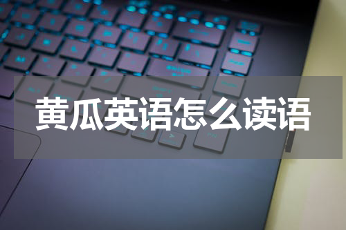 黄瓜英语怎么读语