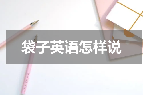 袋子英语怎样说