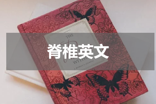 脊椎英文
