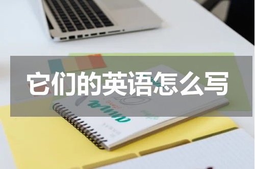 它们的英语怎么写