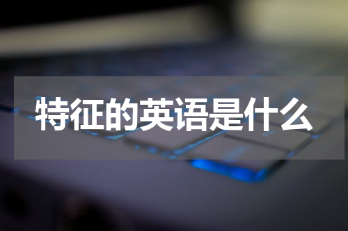 特征的英语是什么