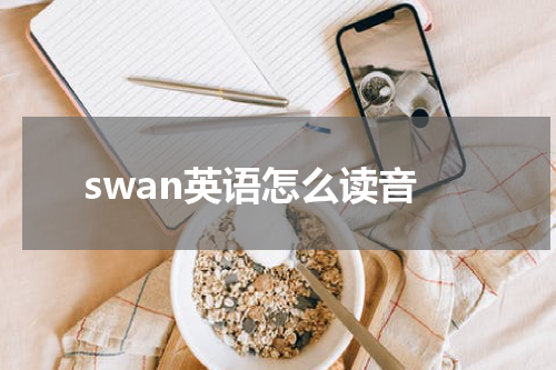swan英语怎么读音