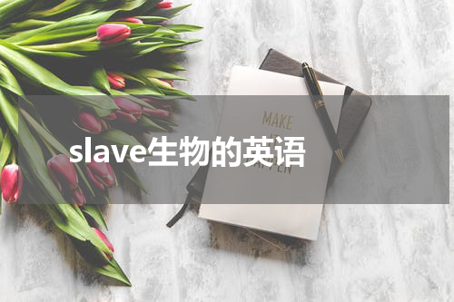 slave生物的英语