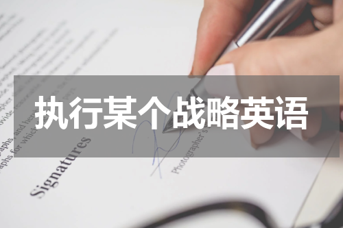 执行某个战略英语