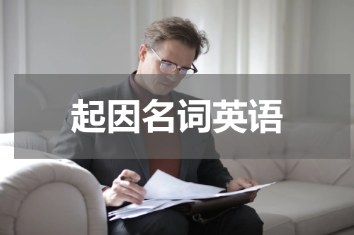 起因名词英语