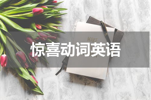 惊喜动词英语