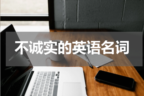 不诚实的英语名词