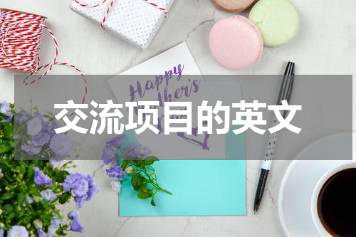 交流项目的英文