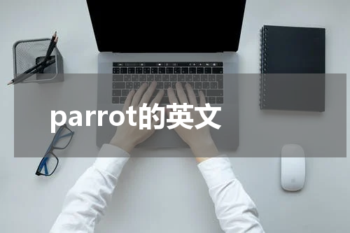 parrot的英文