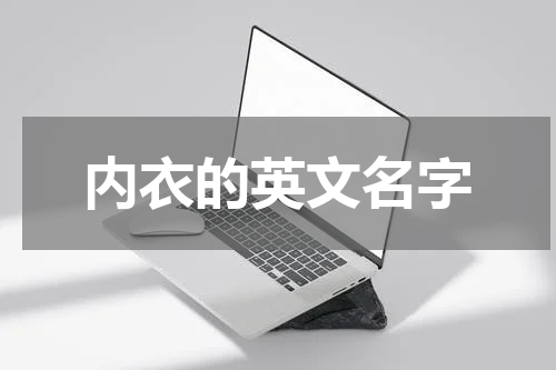 内衣的英文名字