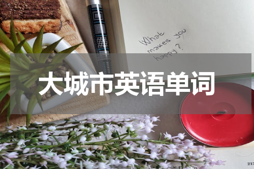 大城市英语单词