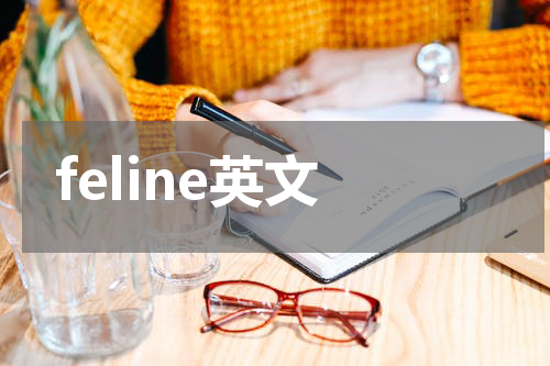 feline英文