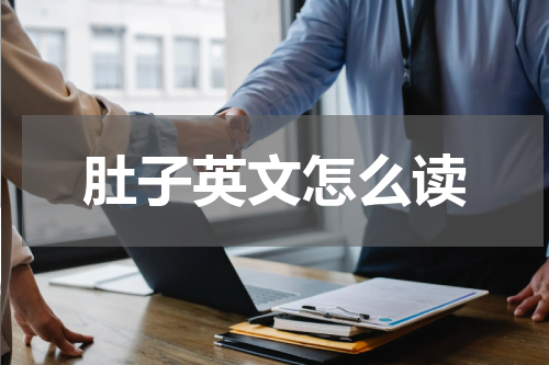 肚子英文怎么读
