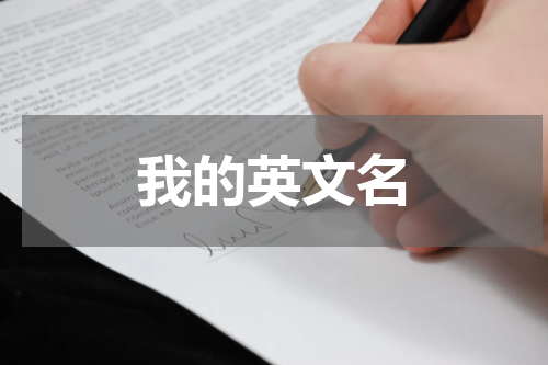 我的英文名