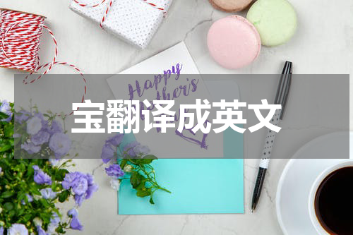 宝翻译成英文