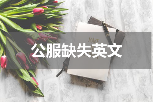 公服缺失英文