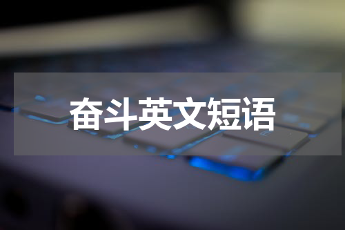 奋斗英文短语