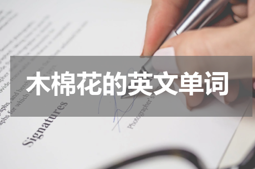 木棉花的英文单词