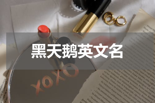 黑天鹅英文名