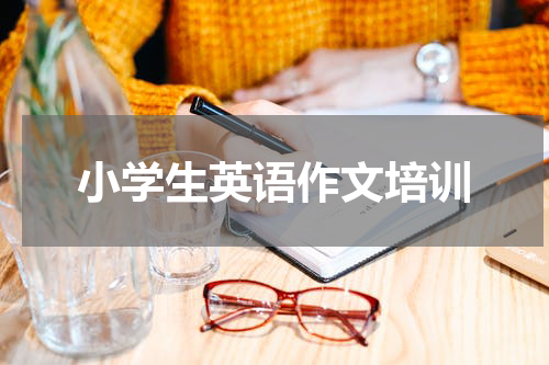 小学生英语作文培训