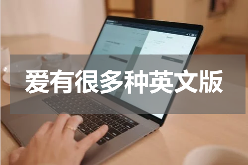 爱有很多种英文版