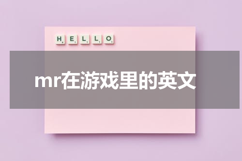 mr在游戏里的英文