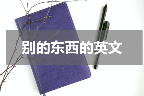 别的东西的英文